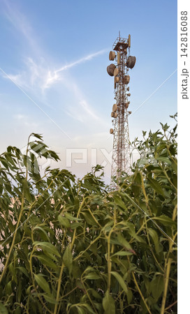Tall telecommunication tower standing behind green foliage Tall telecommunication tower standing behind green foliage 142816088