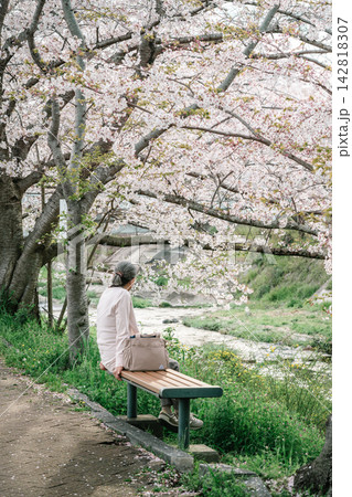 玉川の桜の下のベンチで休む人 玉川の桜の下のベンチで休む人 142818307