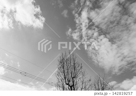 雲と飛行機雲、裸木、電線を捉えたモノクロの空 雲と飛行機雲、裸木、電線を捉えたモノクロの空 142819257