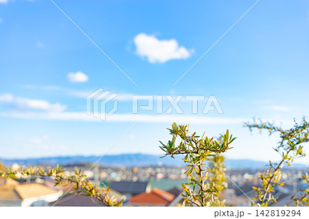 丘から望む住宅街と青空の風景 丘から望む住宅街と青空の風景 142819294