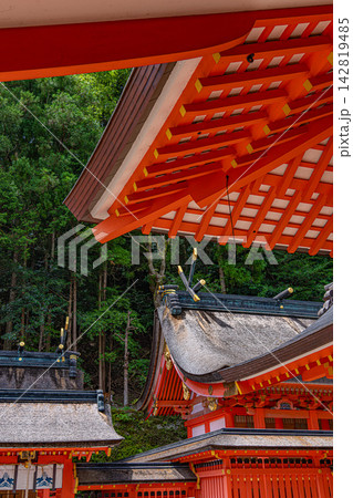 深い森に囲まれた朱塗りの神社建築 深い森に囲まれた朱塗りの神社建築 142819485