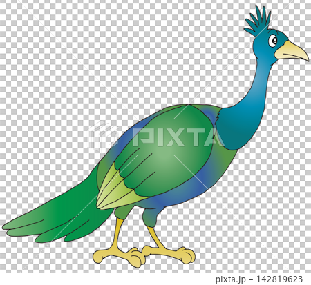手書き鳥イラスト☆孔雀 142819623