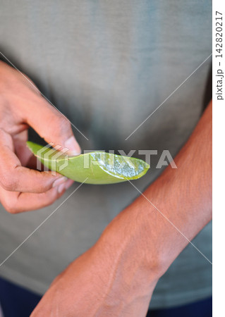 Man holding a fresh aloe vera leaf in a casual setting Man holding a fresh aloe vera leaf in a casual setting 142820217