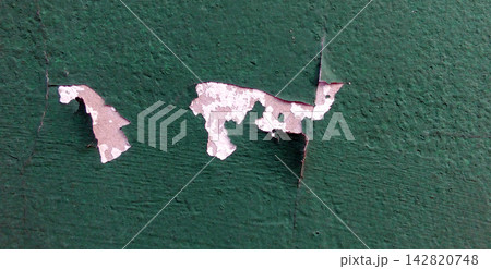 Peeling Green Painted Wall with Exposed Surface Texture 142820748