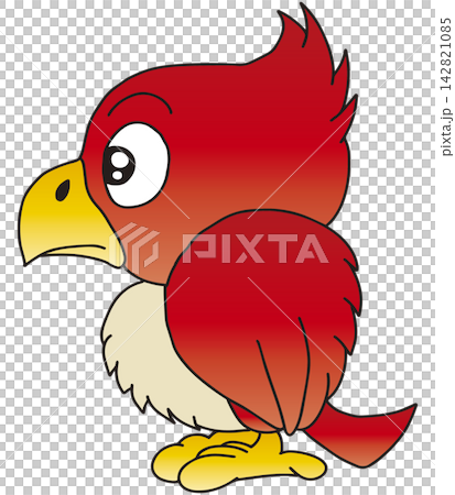 手繪鳥類插圖☆金剛鸚鵡 手繪鳥類插圖☆金剛鸚鵡 142821085