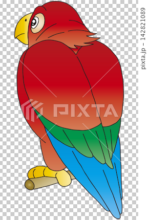 Hand-drawn bird illustration ☆ Macaw Hand-drawn bird illustration ☆ Macaw 142821089