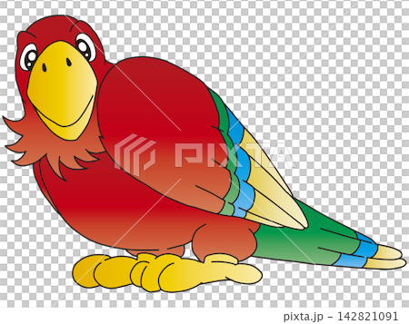 手繪鳥類插圖☆金剛鸚鵡 手繪鳥類插圖☆金剛鸚鵡 142821091