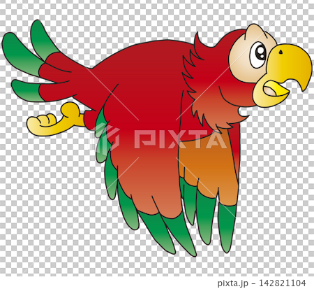 手繪鳥類插圖☆金剛鸚鵡 142821104