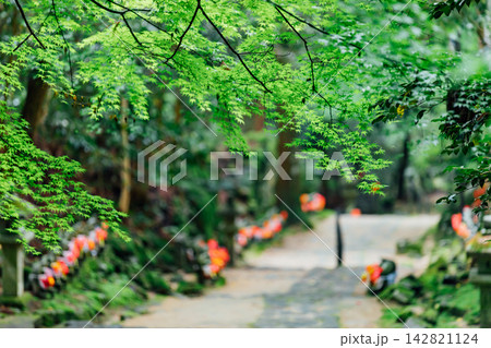 【滋賀県東近江市】金剛輪寺　千体地蔵が並ぶ参道と新緑 142821124