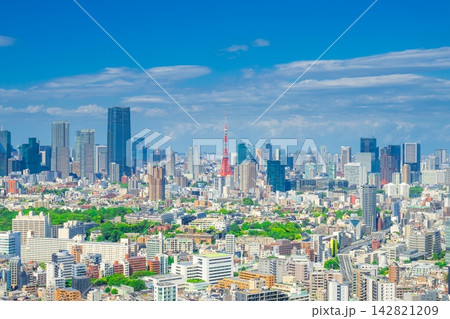 東京風景・初夏の青空と緑の町並み 142821209