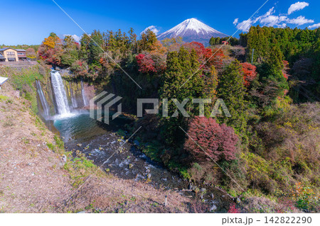 【富士山素材】秋の風景・紅葉シーズンの音止の滝と富士山【静岡県】 【富士山素材】秋の風景・紅葉シーズンの音止の滝と富士山【静岡県】 142822290