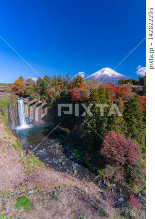【富士山素材】秋の風景・紅葉シーズンの音止の滝と富士山【静岡県】 142822295