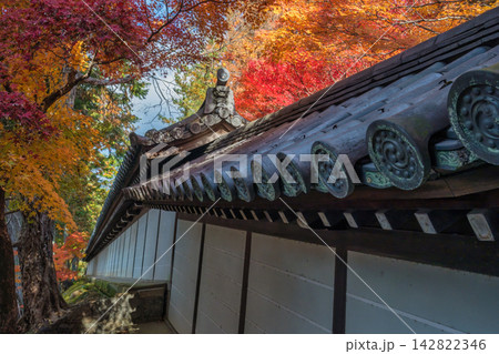 Kyoto Japan, autumn leaves with traditional Japanese roof tiles Kyoto Japan, autumn leaves with traditional Japanese roof tiles 142822346