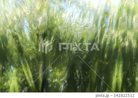Reflective mirror film with a soft green reflection creates a smooth abstract surface with subtle color variation and a modern metallic appearance. 142822512