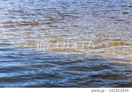 Sunlit ripples on a calm water surface create golden highlights and soft blue waves Sunlit ripples on a calm water surface create golden highlights and soft blue waves 142822834