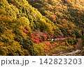 嵯峨野トロッコ列車と紅葉 142823203