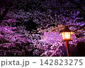 ライトアップされた夜桜 142823275