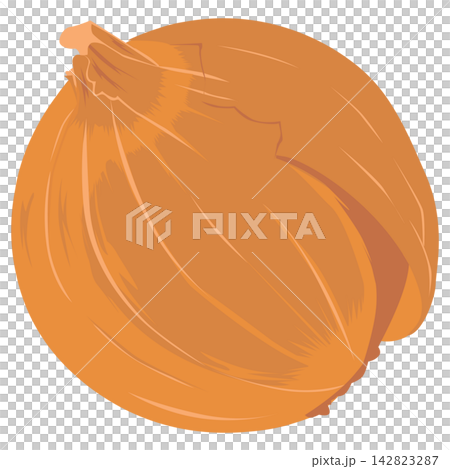 蔥的例證 蔥的例證 142823287