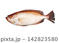 キントキダイの魚体、切り抜き白背景画像 142823580