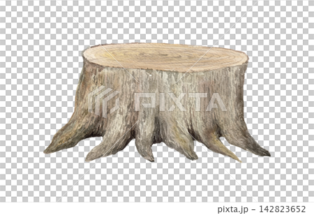Natural tree stump. Watercolor illustration for Halloween scenes, woodland compositions and seasonal designs Natural tree stump. Watercolor illustration for Halloween scenes, woodland compositions and seasonal designs 142823652