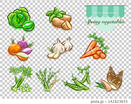 A set of illustrations of various spring vegetables | Cute pop art vector materials A set of illustrations of various spring vegetables | Cute pop art vector materials 142823655