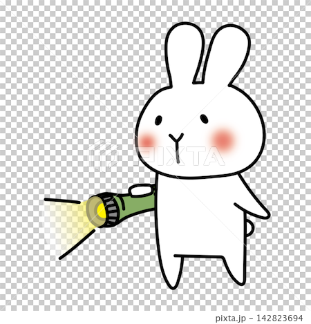 A white rabbit checking if the flashlight works. A white rabbit checking if the flashlight works. 142823694
