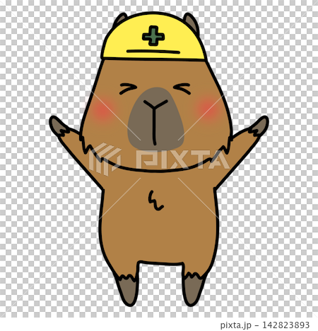 A capybara wearing a helmet A capybara wearing a helmet 142823893