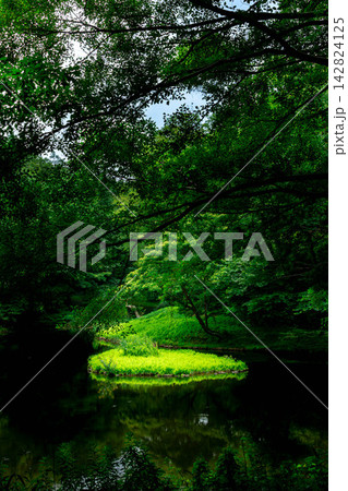 緑のある風景 緑のある風景 142824125