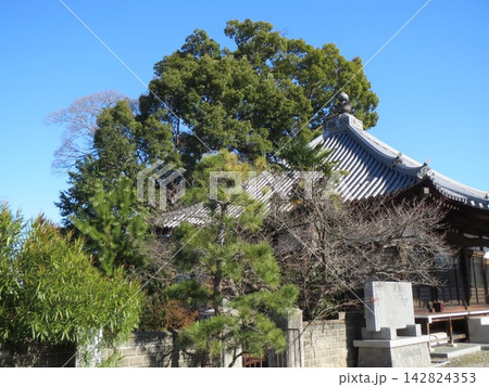 2014年・香川県・高松市・風景・香西北町・寺院・萬徳寺・其の三十二 2014年・香川県・高松市・風景・香西北町・寺院・萬徳寺・其の三十二 142824353