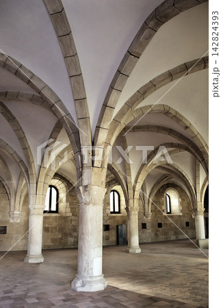 Vaulted ceiling and columns at Monastery Santa Maria in Alcobaca, Portugal 142824393