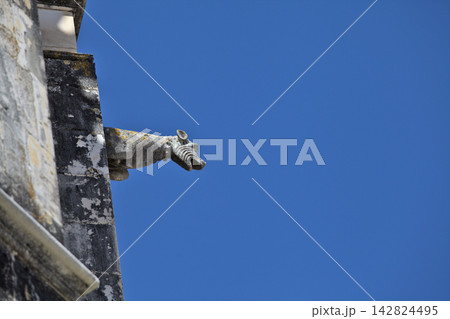 Gargoyle on Batalha monastery facade in Portugal on a clear day 142824495