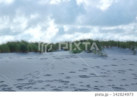Tranquil Coastal Dunes with Grasses under Cloudy Skies for Nature Designs 142824973