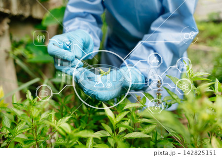 Smart farming and agricultural technology concept featuring plant research, crop monitoring, biotechnology, IoT, sustainable agriculture 142825151