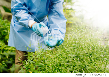Smart farming and agricultural technology concept featuring plant research, crop monitoring, biotechnology, IoT, sustainable agriculture 142825154