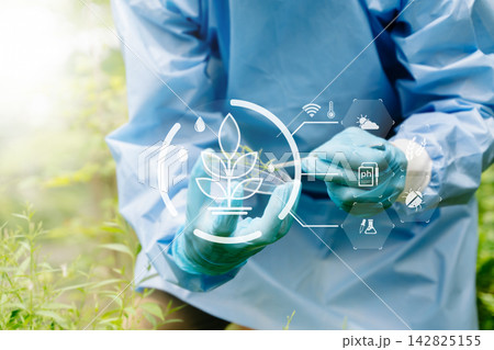 Smart farming concept with agricultural technology, plant research, crop monitoring, biotechnology, IoT, sustainable farming 142825155