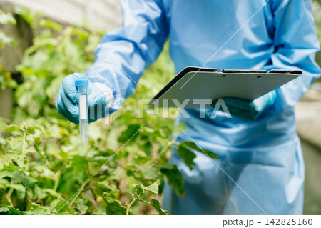 Scientist in protective gear recording crop health data on a clipboard in an outdoor agricultural r 142825160