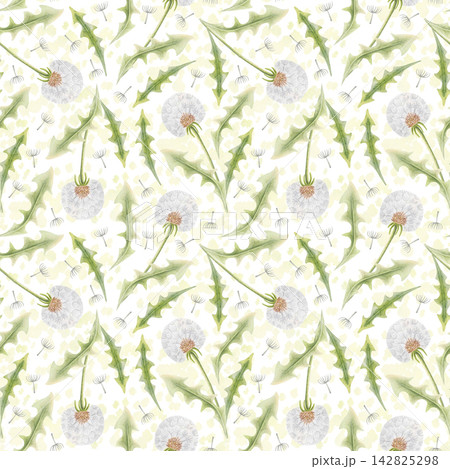 Seamless watercolor pattern with white dandelion seed heads, floating seeds and green leaves. Hand drawn pastel botanical illustration for textile, wrapping paper, stationery, packaging and wallpaper. Seamless watercolor pattern with white dandelion seed heads, floating seeds and green leaves. Hand drawn pastel botanical illustration for textile, wrapping paper, stationery, packaging and wallpaper. 142825298
