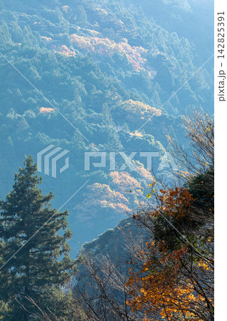 静岡県周智郡森町鍛治島 山里の風景 静岡県周智郡森町鍛治島 山里の風景 142825391