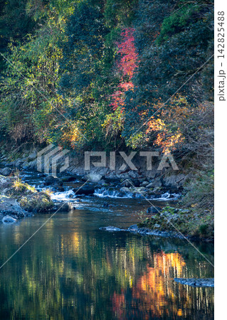 静岡県周智郡森町鍛治島 山里の風景 静岡県周智郡森町鍛治島 山里の風景 142825488