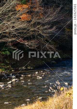 静岡県周智郡森町鍛治島　山里の風景 142825501