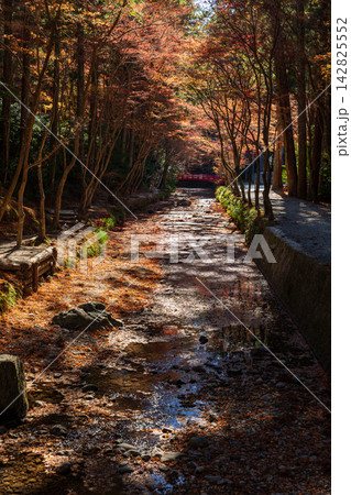 静岡県周智郡森町一宮 小國神社と周辺の風景 静岡県周智郡森町一宮 小國神社と周辺の風景 142825552