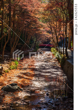 静岡県周智郡森町一宮　小國神社と周辺の風景 142825553