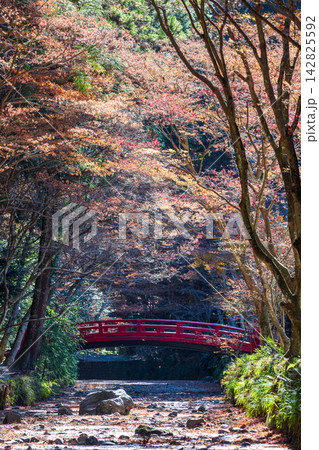 静岡県周智郡森町一宮　小國神社と周辺の風景 142825592