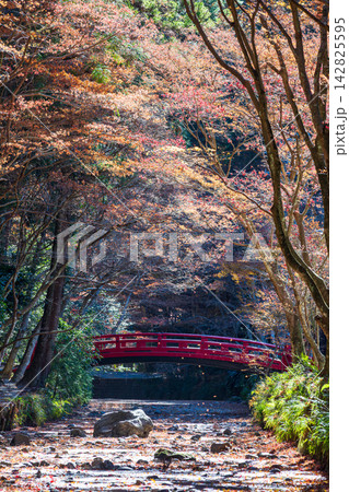 静岡県周智郡森町一宮 小國神社と周辺の風景 静岡県周智郡森町一宮 小國神社と周辺の風景 142825595