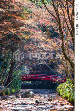 静岡県周智郡森町一宮　小國神社と周辺の風景 142825596