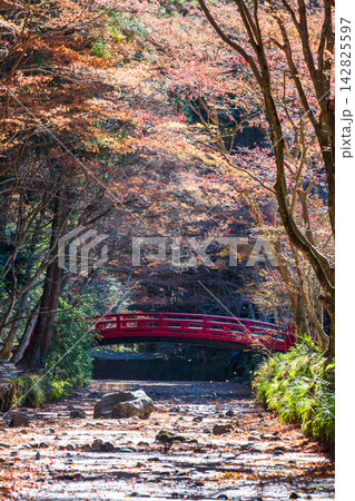 静岡県周智郡森町一宮　小國神社と周辺の風景 142825597