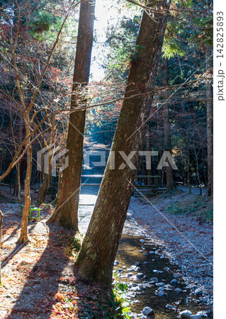 静岡県周智郡森町一宮　小國神社と周辺の風景 142825893
