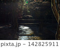 静岡県周智郡森町一宮　小國神社と周辺の風景 142825911