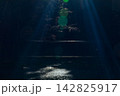 静岡県周智郡森町一宮　小國神社と周辺の風景 142825917