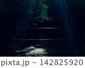 静岡県周智郡森町一宮　小國神社と周辺の風景 142825920